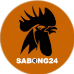 sabong24