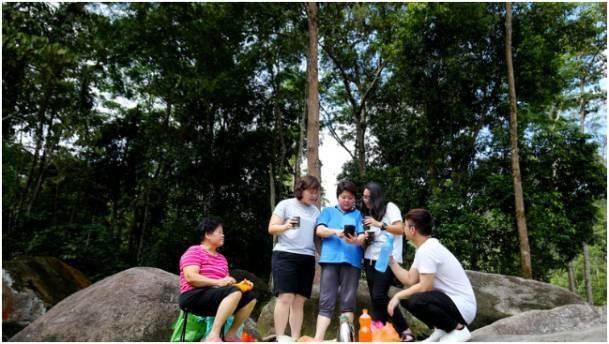 Which Weekend Family Outing Ideas Work for Different Interests?